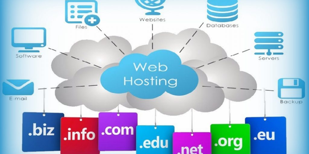 Domain & Hosting Services